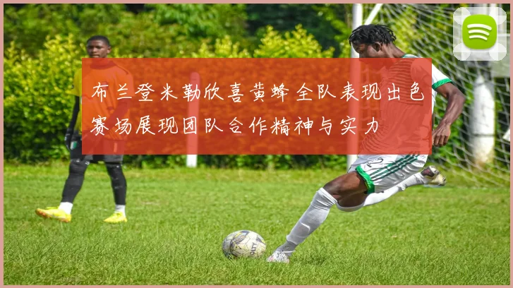 布兰登米勒欣喜黄蜂全队表现出色赛场展现团队合作精神与实力