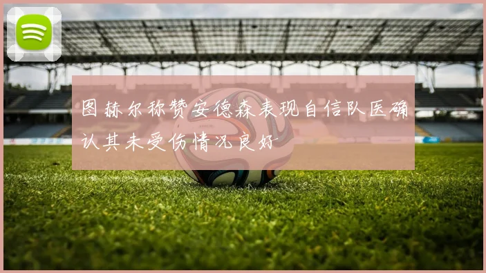 图赫尔称赞安德森表现自信队医确认其未受伤情况良好