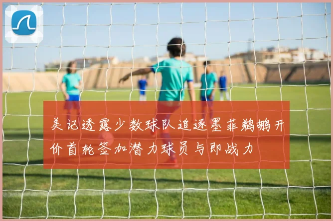 美记透露少数球队追逐墨菲鹈鹕开价首轮签加潜力球员与即战力